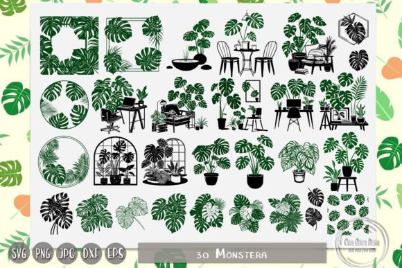 Monstera, Palm Leaves Embroidery Design Review